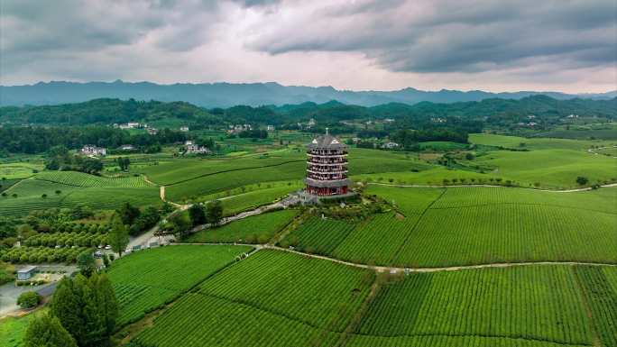 中国茶海航拍素材