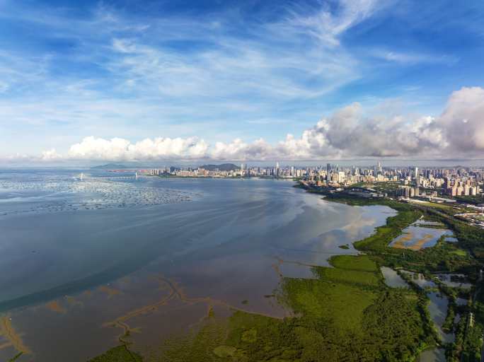 深圳湾清晨-高机位