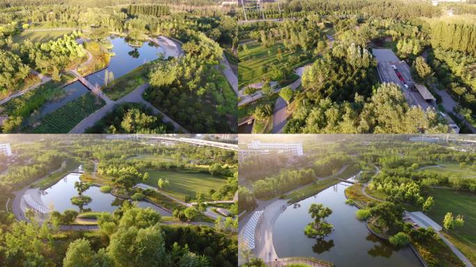 将府公园秋天航拍