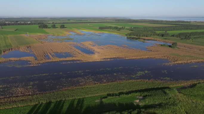 农田被水淹