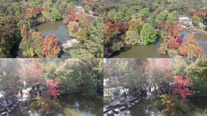 秋季景区枫叶红了