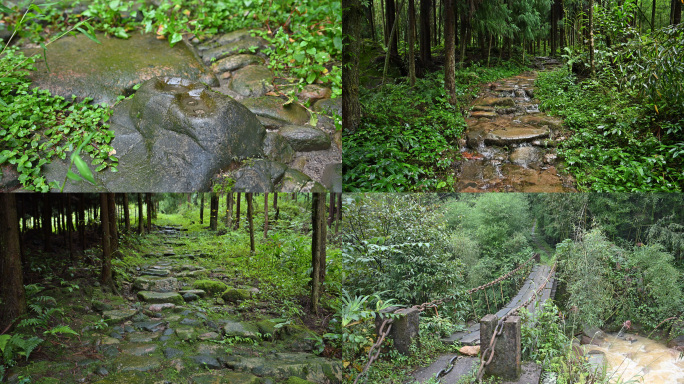 大相岭古道遗址荥经茶马古道安靖箭杆坡