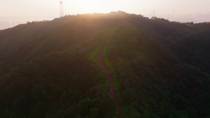 4K长沙谷山森林公园日出城市航拍