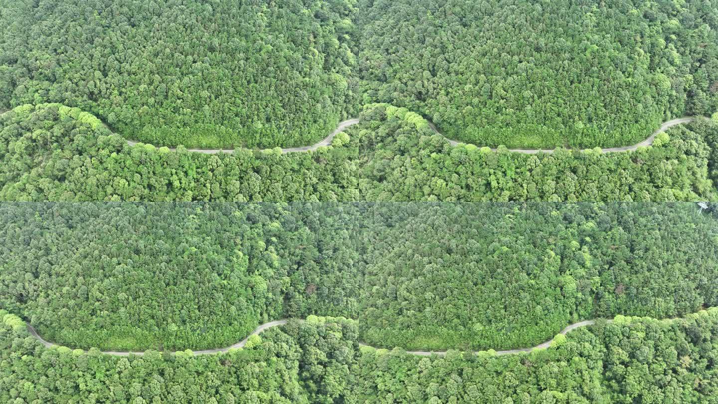 森林公路航拍山路树林道路俯拍林间道路风景