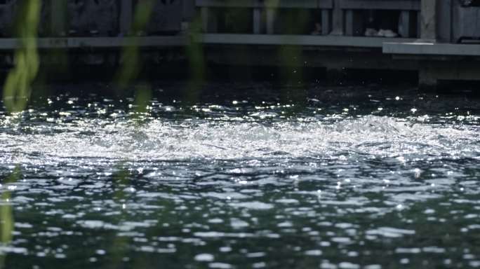 4K升格逆光济南趵突泉喷涌泉水空镜