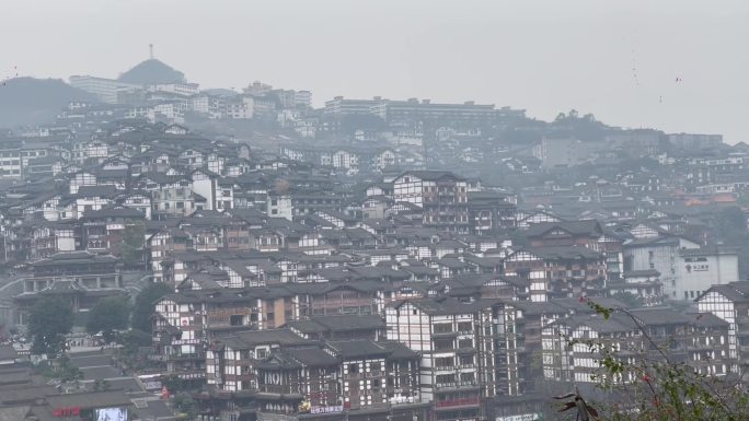 前景树枝摇古建筑茅台镇