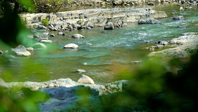 溪流自然山水水源溪流山水生态植被酿酒雨
