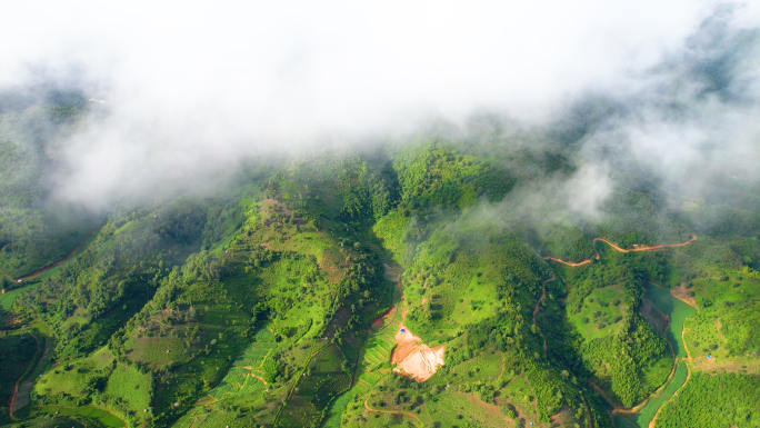 【原创5K】航拍西双版纳勐海普洱茶山穿云