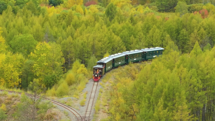 森林中行驶的小火车