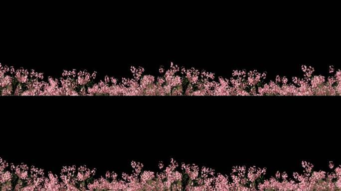 桃花树枝生长开花前景遮罩-带透明通道