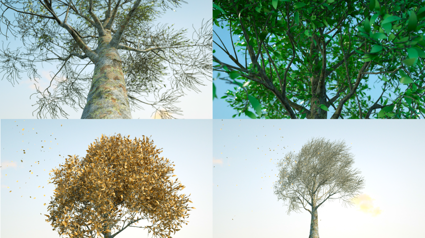 树的四季变换生长动画