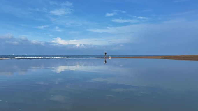 一人一狗在海边散步