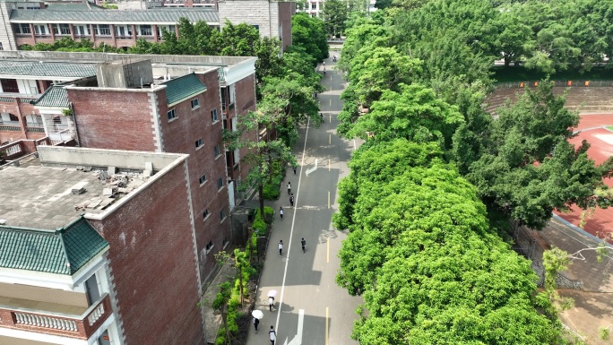 学校道路俯拍校园航拍学生上课上学校园风光