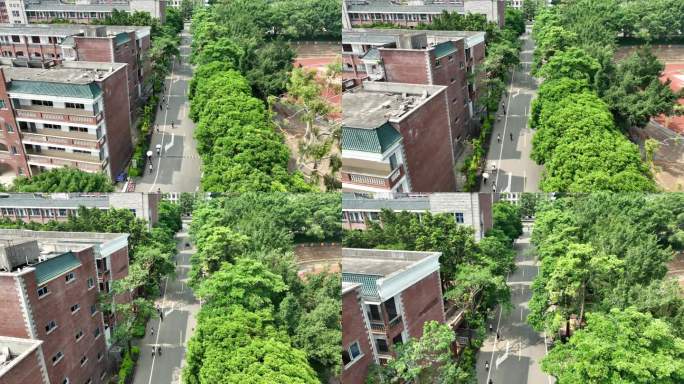 学校道路俯拍校园航拍学生上课上学校园风光