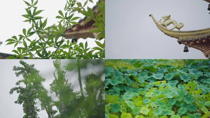 国风绿植塔尖风铃荷花水潭树叶4k