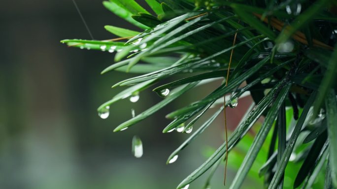 唯美下雨古风屋檐空镜素材