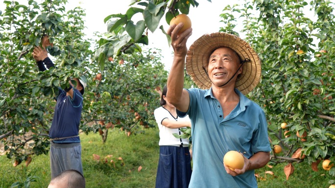 农业农民 果园丰收幸福笑脸 农民笑脸