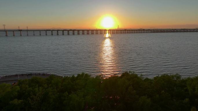 4k深圳地铁11号线列车西湾红树林湿地