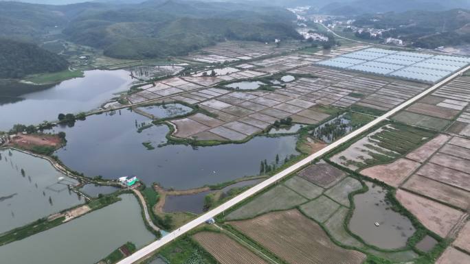 绿色乡村公路