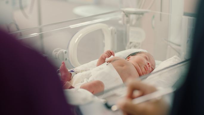 医护人员与保温箱内婴儿互动 保温箱婴儿
