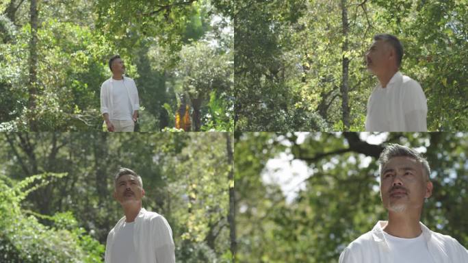 男人在枫树林