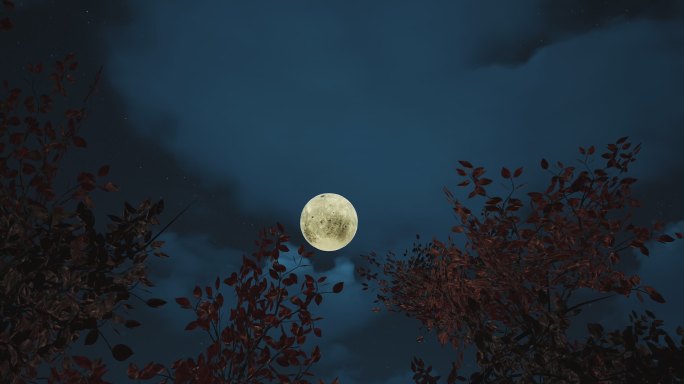 4k树枝间月亮升起