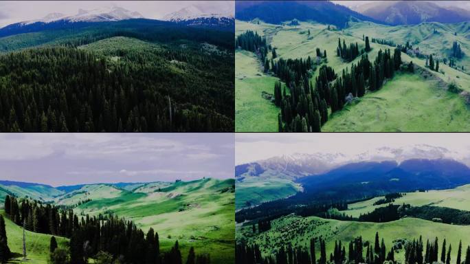 四段新疆恰西草原4K航拍视频