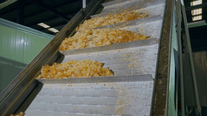 工业糖厂生产冰糖传动筛选输送带
