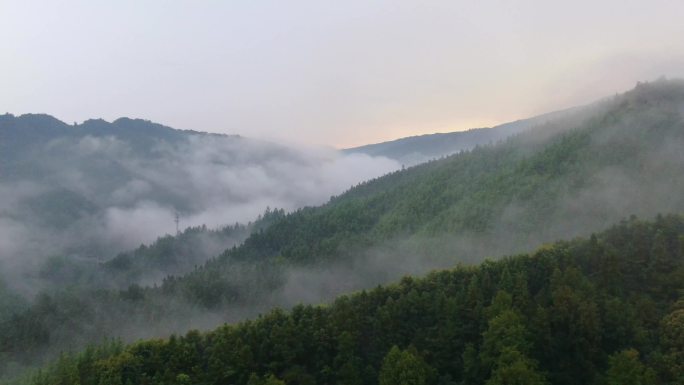 大山森林云雾航拍