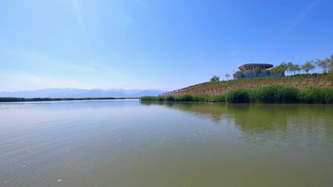 宁夏石嘴山沙湖旅游区芦苇荡湿地