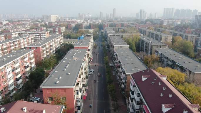 鸽子飞过 航拍城市街景