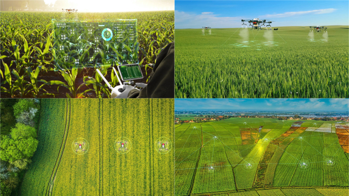 智慧农业植保无人机喷洒农药播种