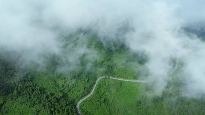 5K森林云雾绿色生态天然氧吧航拍