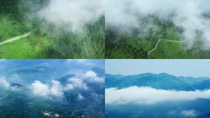 5K森林云雾绿色生态天然氧吧航拍