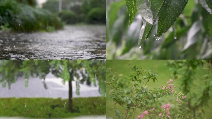 雨天  唯美