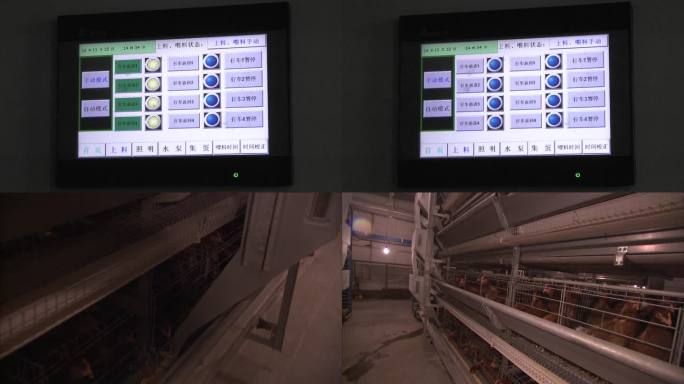 现代化养鸡场 鸡舍 智能化控制系统