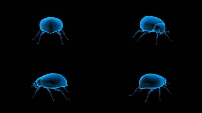 瓢虫全息蓝色科技通道素材
