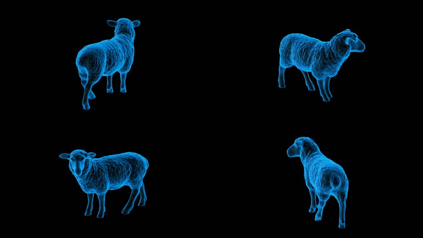 绵羊全息蓝色科技通道素材