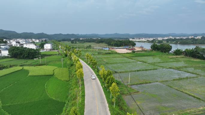 绿色乡村公路