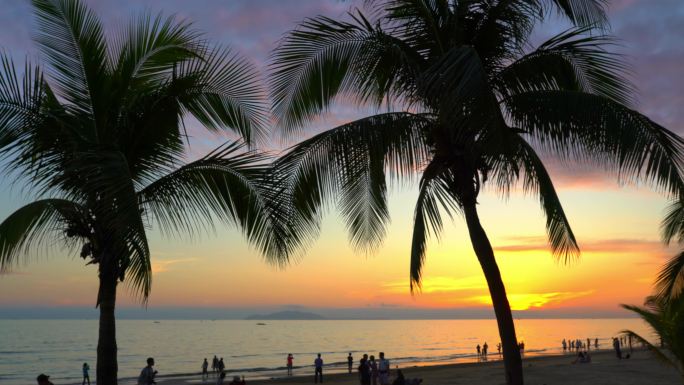 沙滩剪影海边 椰树 夕阳 晚霞