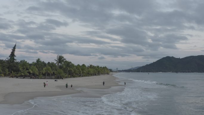 海边沙滩棕榈树椰子树