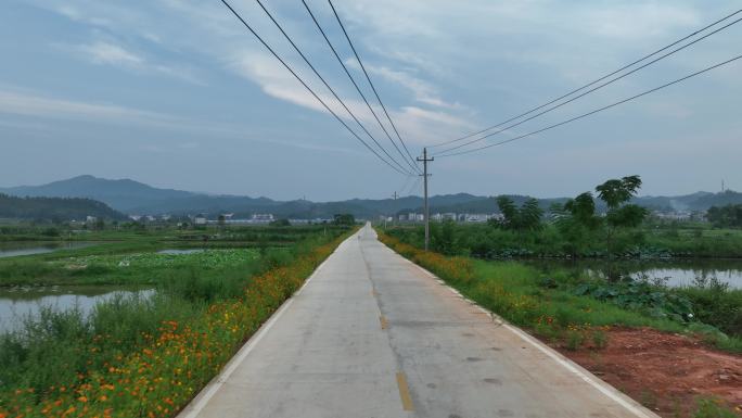 绿色乡村公路