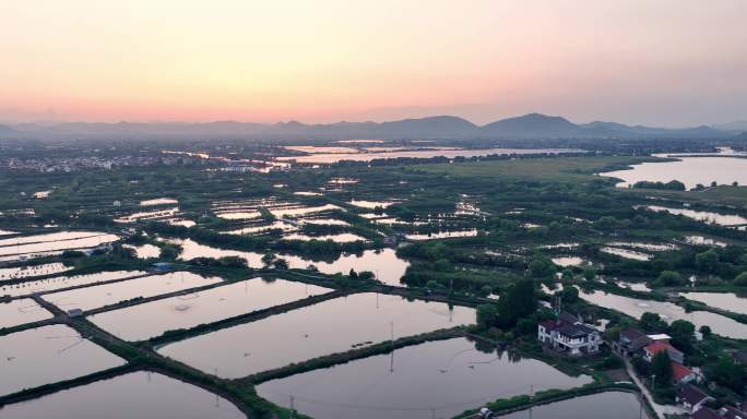 夕阳下的江南水乡水产养殖鱼塘