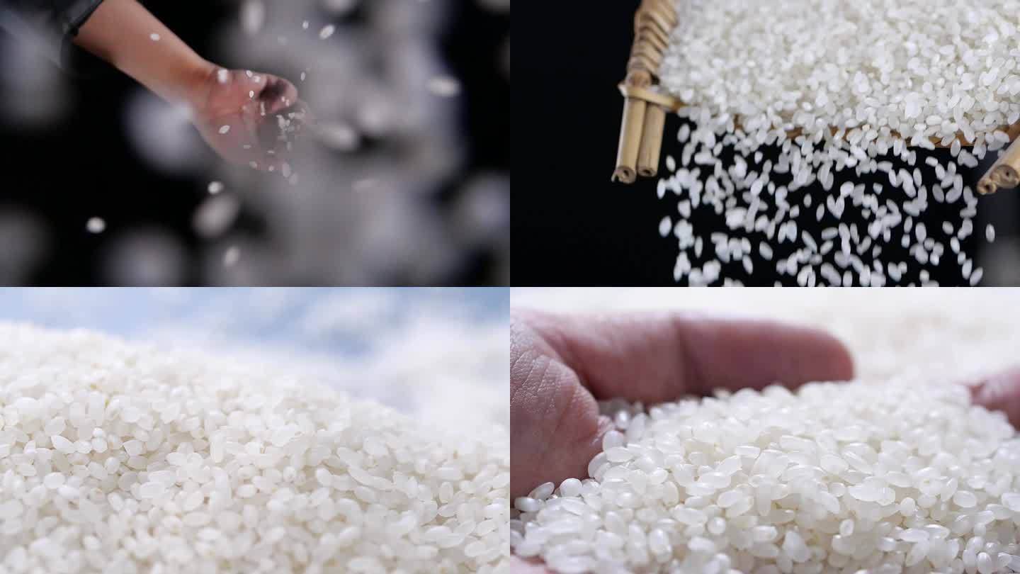 大米 水稻 白米