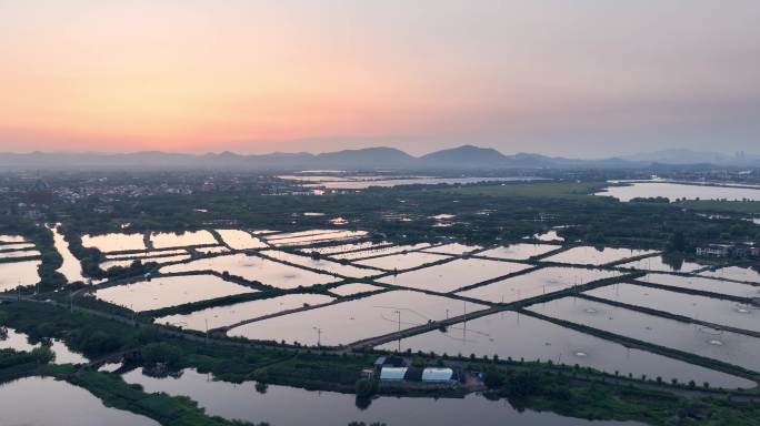 夕阳下的江南水乡水产养殖鱼塘