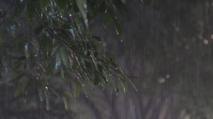重庆城市大暴雨