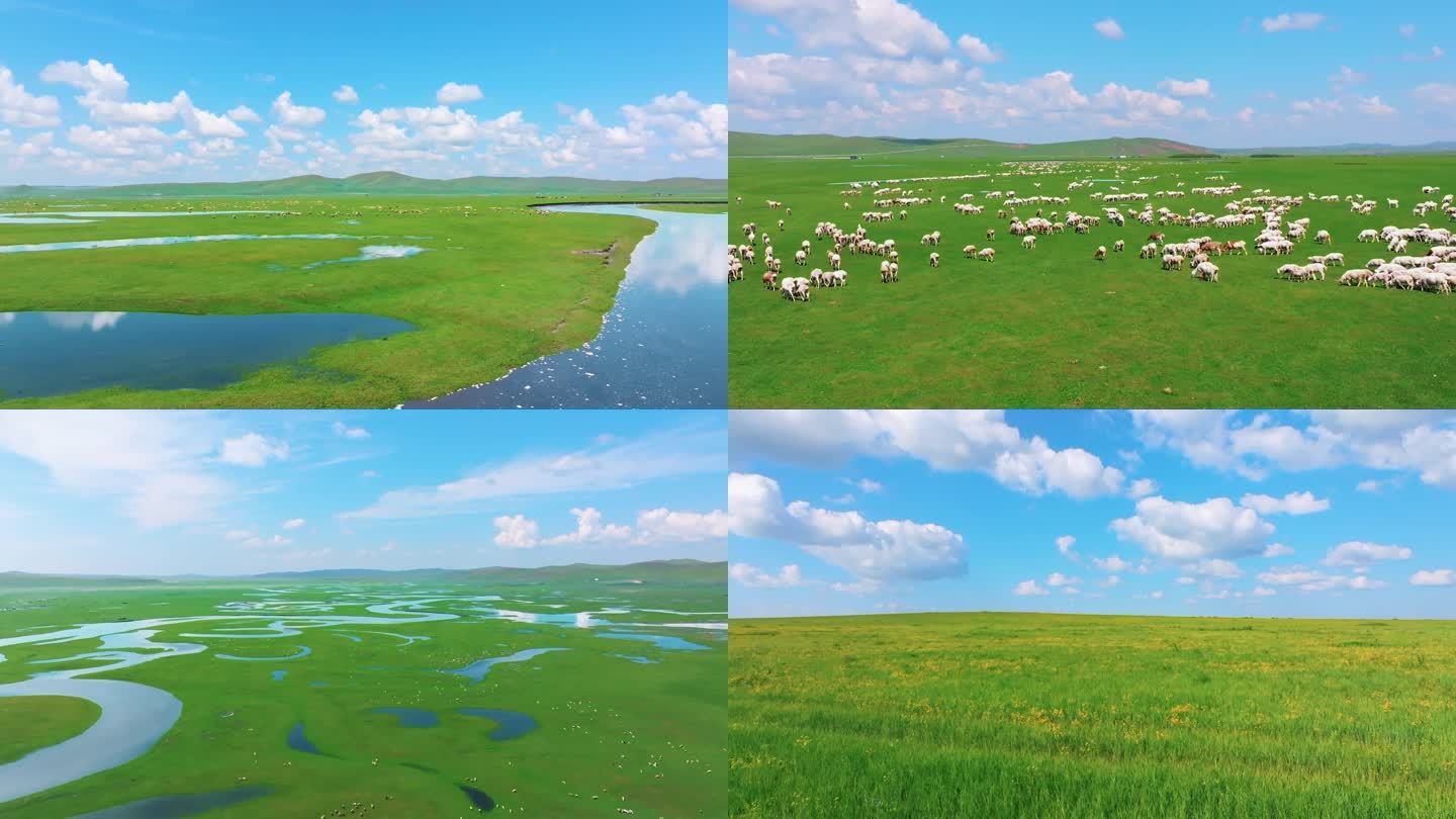 草原蓝天河流羊群