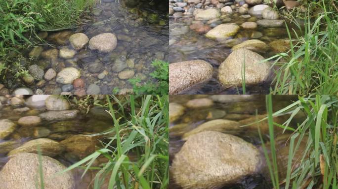 溪水流动、鹅暖石、水草特写
