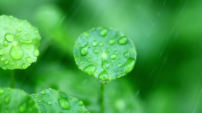 下雨天