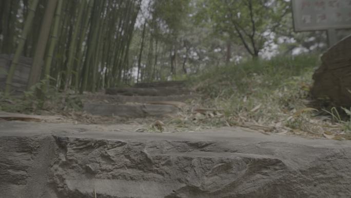 竹林石台阶